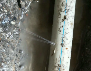 西乌珠穆沁测漏水哪家好