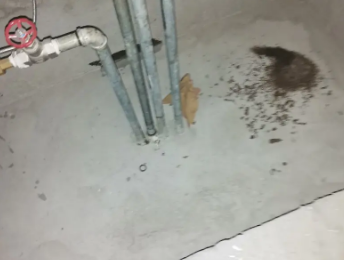 西乌珠穆沁卫生间测漏水价格明细
